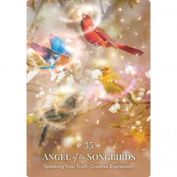 Angels of Nature Oracle kortos Hay House